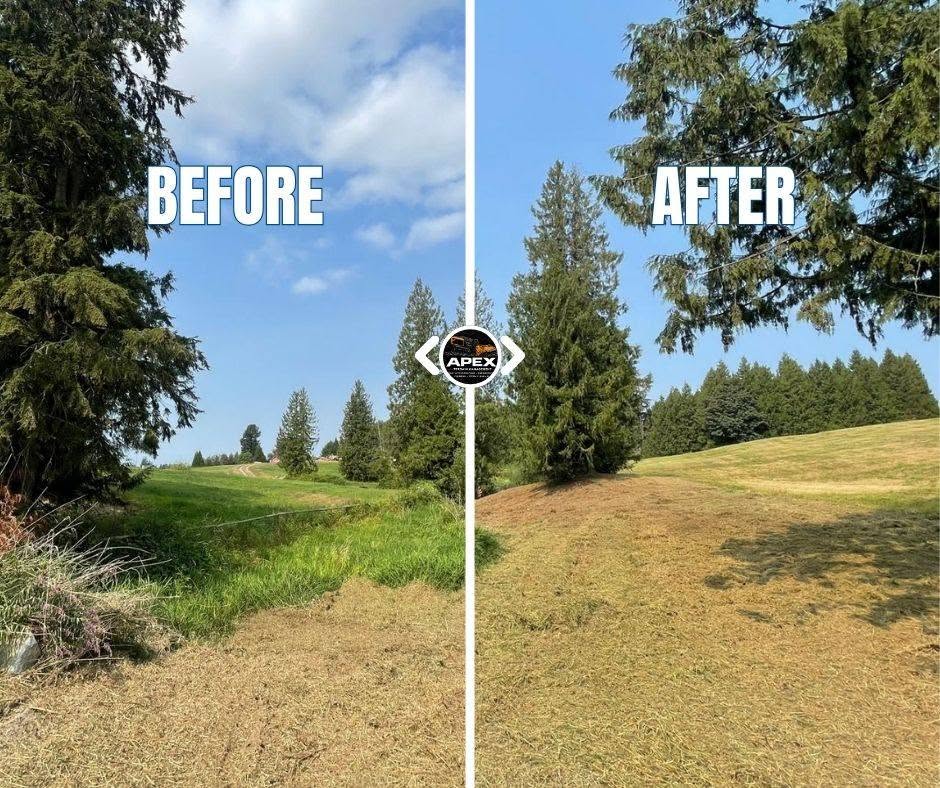 Before and after field clearing project